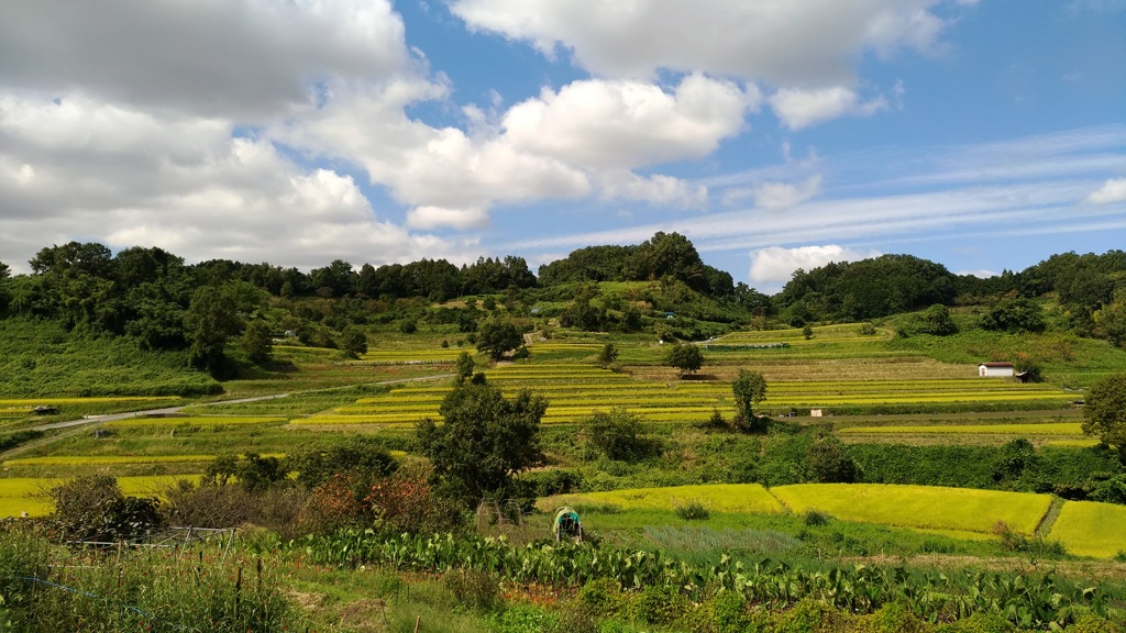 秋の里山