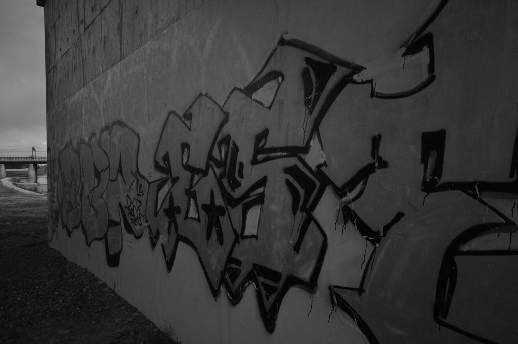 _DSC0042