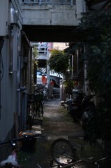 路地裏