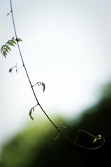 DSC02490_DxO
