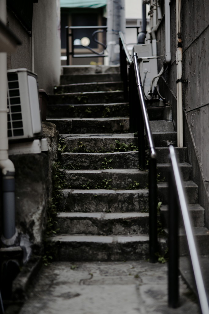 DSC01754_DxO