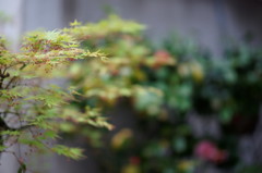 DSC01827_DxO
