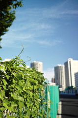SDIM0378_DxO