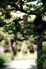 DSC02450_DxO