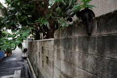 DSC02961_DxO