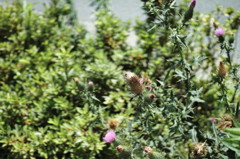 SDIM0034_DxO