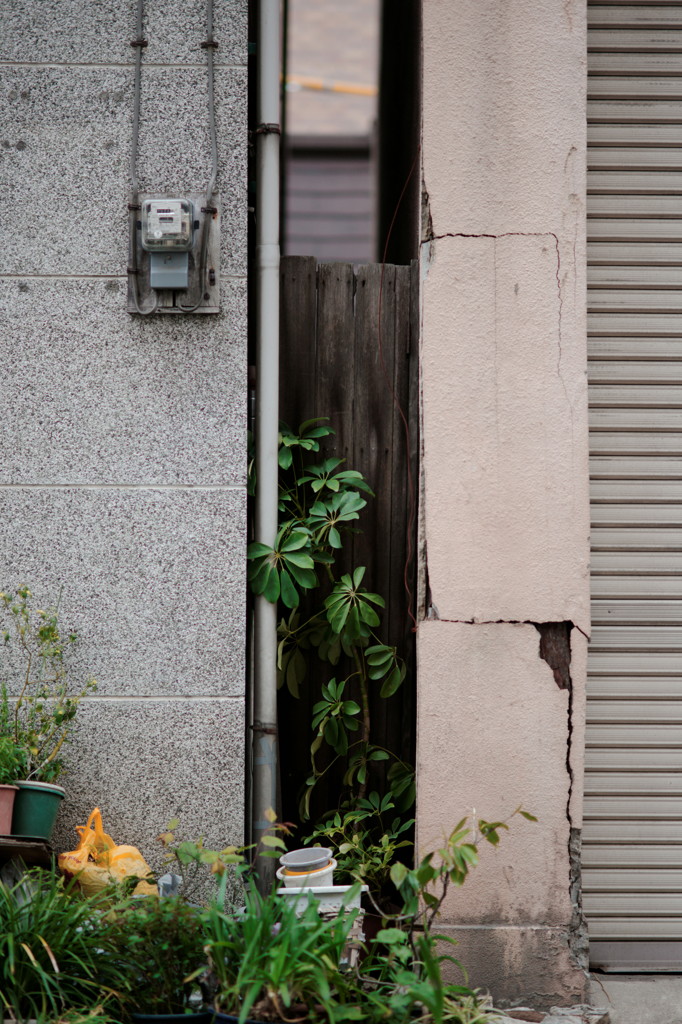 DSC01731_DxO