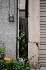 DSC01731_DxO