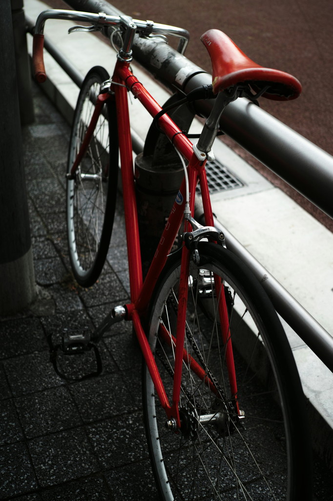 SDIM0059_DxO