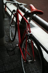 SDIM0059_DxO