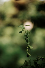 DSC02448_DxO