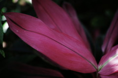 SDIM0249_DxO