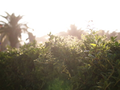 P8283803_3