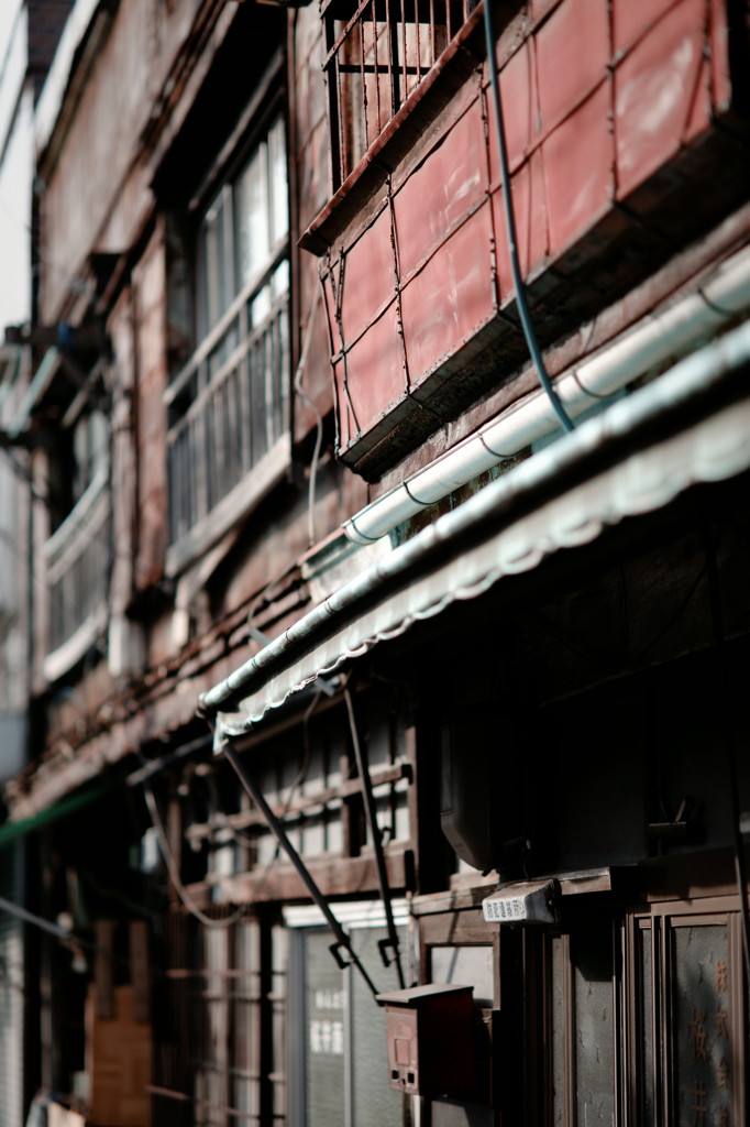 DSC02515_DxO