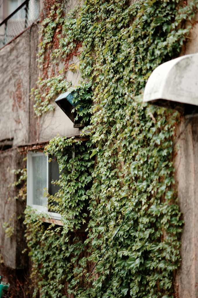 DSC01725_DxO