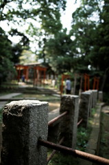 DSC02679_DxO