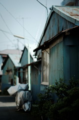 DSC02409_DxO
