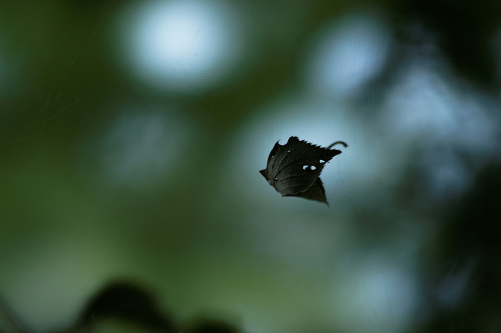 DSC03182_DxO