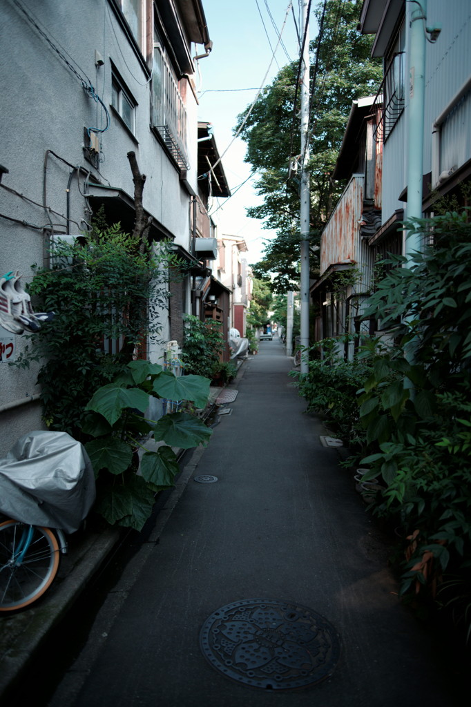 DSC02891_DxO