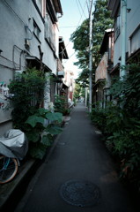 DSC02891_DxO