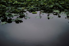 SDIM0184_DxO