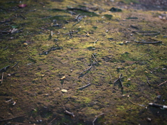 PA295498_4