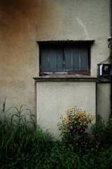 DSC02945_DxO