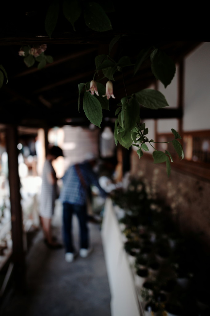 DSC01954_DxO