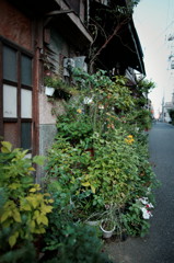 DSC02940_DxO