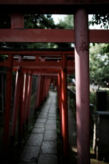 DSC02690_DxO