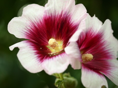 P7032173_2
