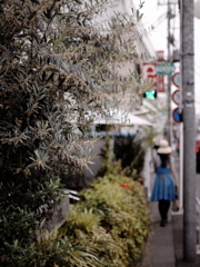 P6027394_DxO