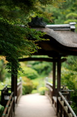 DSC03051_DxO