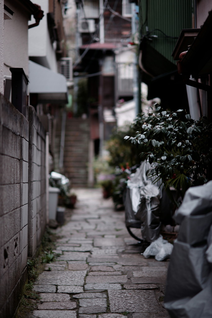 DSC01755_DxO