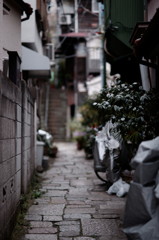 DSC01755_DxO