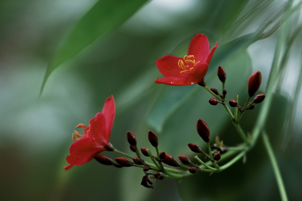 DSC02240_DxO