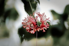DSC01054_DxO