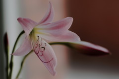 DSC02985_DxO