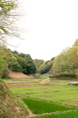 田植え前