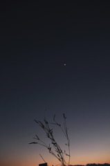 ３月の夕暮れ