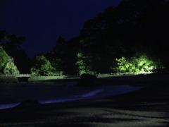 桂浜の夜景
