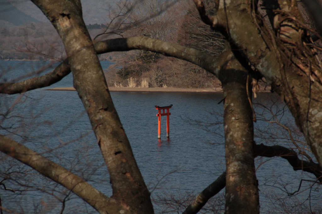 九頭竜神社　鳥居