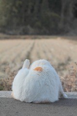 たけし君・・・・・ハイ！