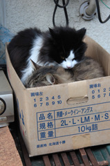 重量制限内10ｋｇです！