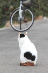 あ～～～あれ乗るとどっか行ける？