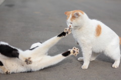 びよ～～～～ん