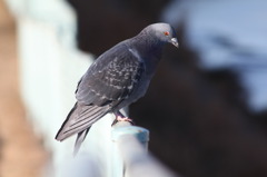 思いつめて・・・・・