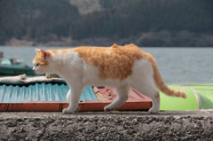 歩く