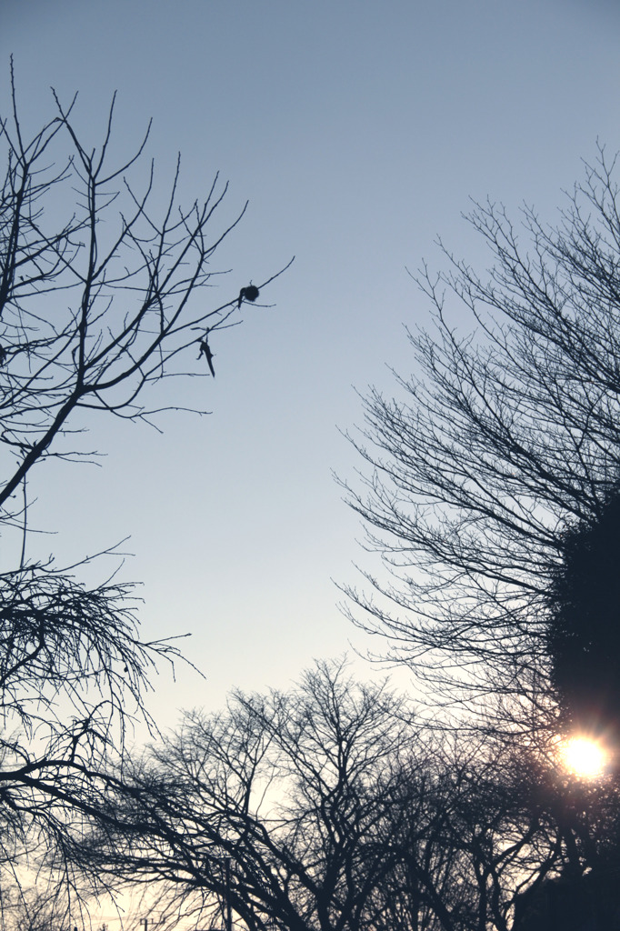 夕方の公園