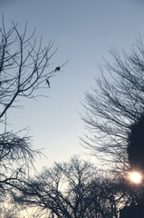 夕方の公園